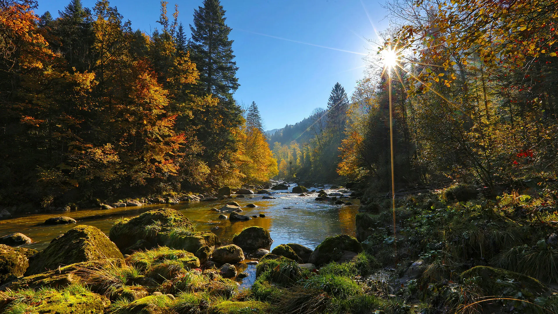 nature river view